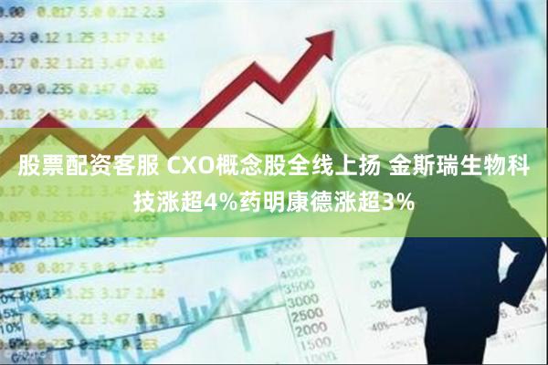 股票配资客服 CXO概念股全线上扬 金斯瑞生物科技涨超4%药明康德涨超3%