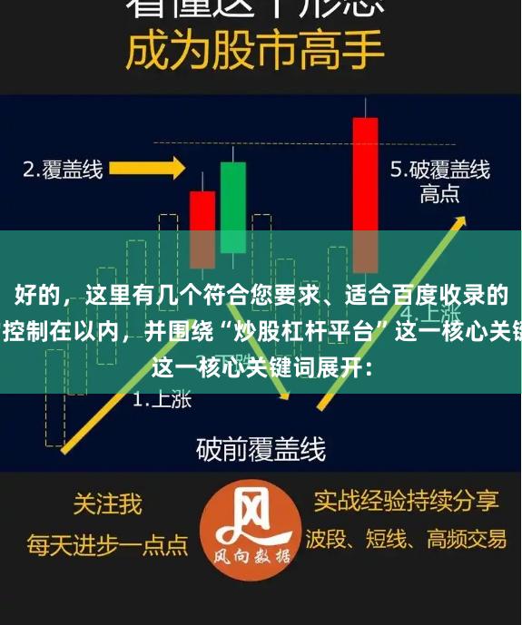 好的，这里有几个符合您要求、适合百度收录的标题，均控制在以内，并围绕“炒股杠杆平台”这一核心关键词展开：