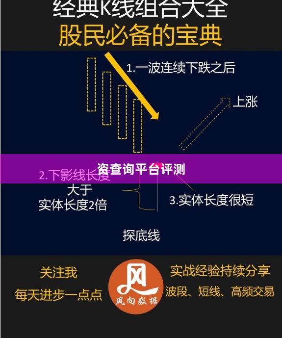 资查询平台评测