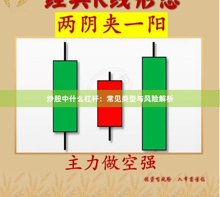 炒股中什么杠杆：常见类型与风险解析