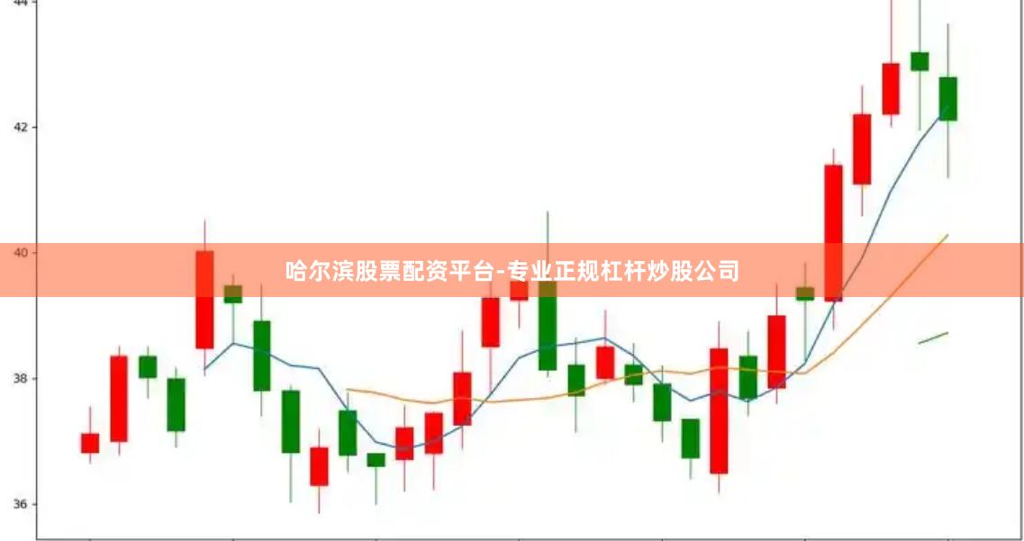 哈尔滨股票配资平台-专业正规杠杆炒股公司